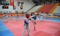 Kars, taekwondo sporunun coşkusuna ev sahipliği yaptı