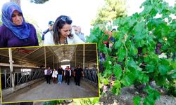 Kemer’de üreticiye destek mesajı: Tarım ve hayvancılık güçlenecek