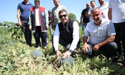 Düzce Valisi Aslan karpuz üreticisini tebrik etti