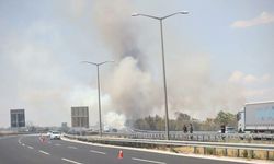 Kırklareli'de yangın: Otoyol kapandı
