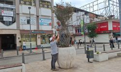 Ordu'nun kent estetiğine büyükşehir dokunuşu