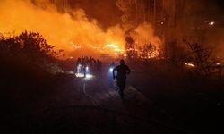 Alanya’da orman yangını: 1 kişi dumandan etkilendi
