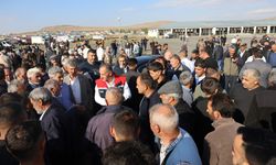Kars Hayvan Pazarı açıldı