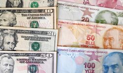 Firmaların net döviz açığında temmuzda düşüş