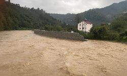 Giresun'da üç ilçe aşırı yağıştan etkilendi