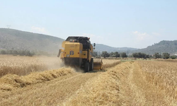 Tarım ve Orman Bakanlığı yeni destekleme modelini açıkladı
