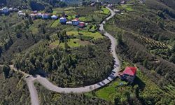 Ordu Gürgentepe’de 13 kilometrelik asfalt çalışması