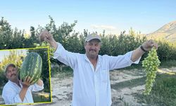 Senirkentli çiftçiler dev karpuzlarla rekor kırıyor