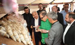 Eskil Tuz Odaları ile şifa merkezi olmayı hedefliyor