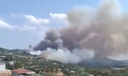 Bursa Gündoğdu'da Orman Yangını