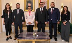 Uludağ Elektrik’ten meme kanserine karşı  “Pembe Farkındalık”