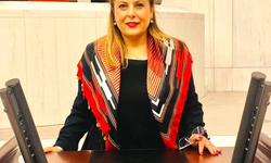 Elvan Işık Gezmiş yeni dönemde önemli görevler alacak