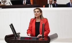 Elvan Işık Gezmiş İstiklal Madalyası için kanun teklifi verdi