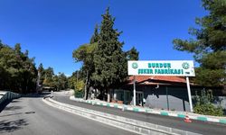 Burdur’da şeker fabrikasında gaz zehirlenmesi: 7 işçi hastaneye kaldırıldı