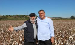 Antalya Aksu’da pamuk hasadı başladı