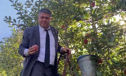 Başkan Selçuk Elma hasadına katıldı: Çiftçilerle bir araya geldi