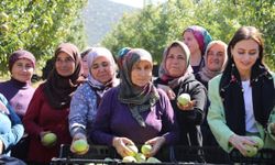 Başkan Caran, kadın çiftçiler günü’nde emekçi kadınlarla hasada katıldı
