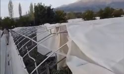 Kaş Gömbe Yaylası’nda fırtına seralara zarar verdi