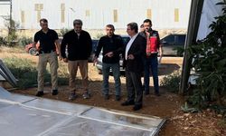 Serik’te fırtına seraları vurdu: Zarar tespit çalışmaları başladı