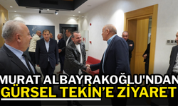 Gürsel Tekin Murat Albayrakoğlu'yla görüştü