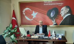 Başkan Okay Ulakcı, Sahipsiz atlara sahip çıkalım, trafik kazalarının önüne geçelim