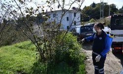 Trabzon’da kahverengi kokarca böceğiyle mücadele kapsamında 9 ilçede ilaçlama çalışmalarını sürdürüyor