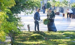 Giresun Belediyesi sonbahar temizliği yapıyor