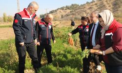 Kırıkkale’de yerel ürünlere destek sürüyor