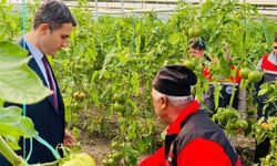 Çamlık’ta tarıma yerinde destek ziyareti