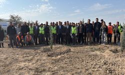 Aksaray OSB’de “Milli Ağaçlandırma Günü”nde 1.111 fidan toprakla buluştu
