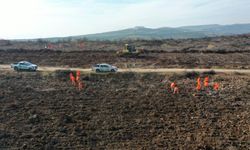 “Alev savaşçıları” bu kez yangın alanları yeniden yeşillendiriliyor