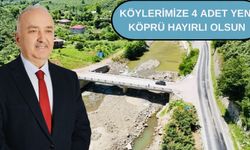 Milletvekili Ali Temür köprü ve yolların yapılacağını açıkladı