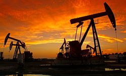 Brent petrolün varili 64,56 dolara geriledi