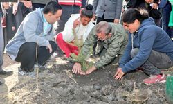 Kars’ta Milli Ağaçlandırma Günü'nde Fidanlar toprakla buluştu