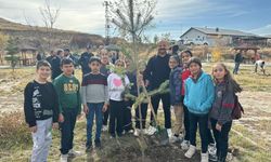 11 Kasım Milli Ağaçlandırma Günü Susuz’da Coşkuyla Kutlandı: “Sevdamız Yeşil Vatan”
