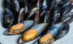 İstanbul’da midye şüphesi: Can kaybı 3’e yükseldi, 4 gözaltı