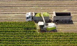 306 milyon liralık tarımsal destekleme ödemesi gerçekleşt