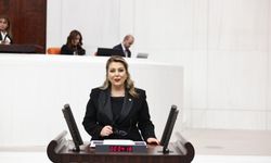 Elvan Işık Gezmiş Giresun'un ulaşım sorunlarını sordu