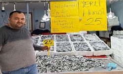 Fatsa’da hamsi fiyatı 20 TL’ye düşebilir
