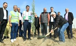 Yeşil Batman için seferberlik devam ediyor