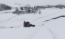 Belediyelerin kar mesaisi başladı