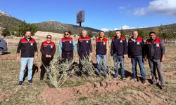 Isparta’da meralar güçleniyor: 33 bin tuz çalısı toprakla buluştu