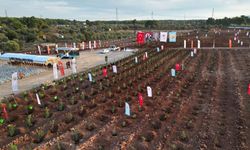 11 Kasım "Milli Ağaçlandırma Günü" için hazırlıklar tamamlandı