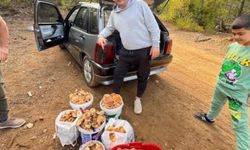 Babasının anısına mantar toplayıp mahalleliye dağıtıyor