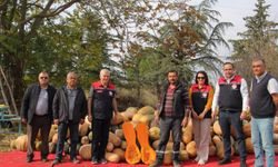 Isparta’da bal kapağı sezonu bereketli başladı