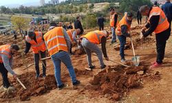 “Her Yalvaçlı için bir fidan” projesinde ilk fidan toprakla buluştu