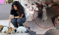 Antalya’da kediye bastonla saldırı iddiası