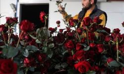 Elmalı Yaylası’nda Gül serasıyla tarımda yeni dönem