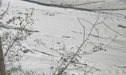 Harşit Çayı'nda tehlike çanları çalıyor