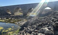 Diyarbakır'ın tarihi Dilaver köprüsü zamana direniyor